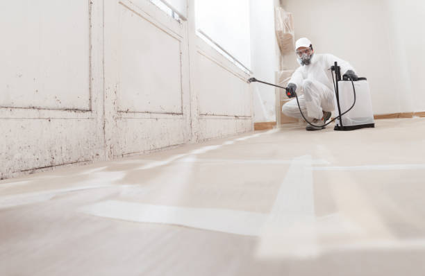 24/7 Emergency Bathroom Mold Removal experts in Richmond, KY