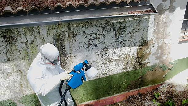 Top rated local Bathroom Mold Removal specialists in Richmond, KY